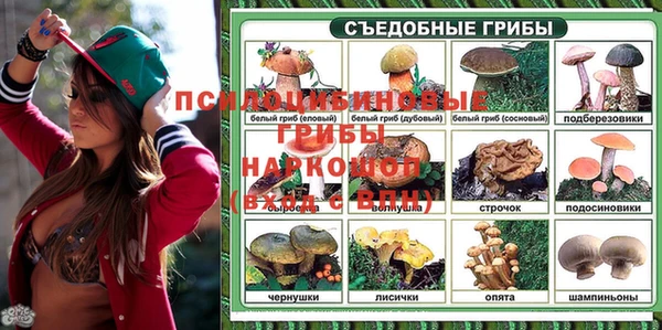 прущие грибы Осташков