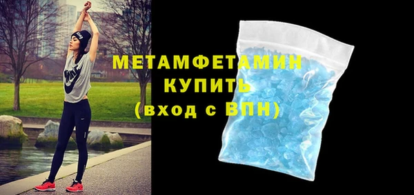 прущие грибы Осташков