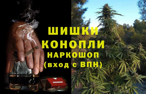 прущие грибы Осташков