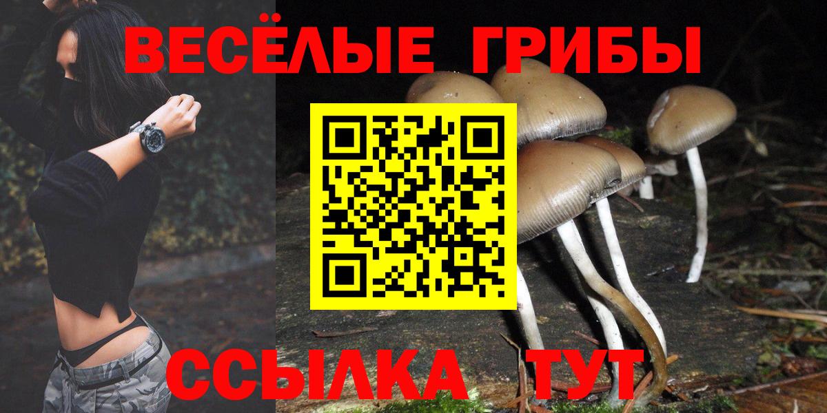 Галлюциногенные грибы ЛСД  Галлюциногенные грибы Magic Shrooms  Вход с VPN  Киржач 