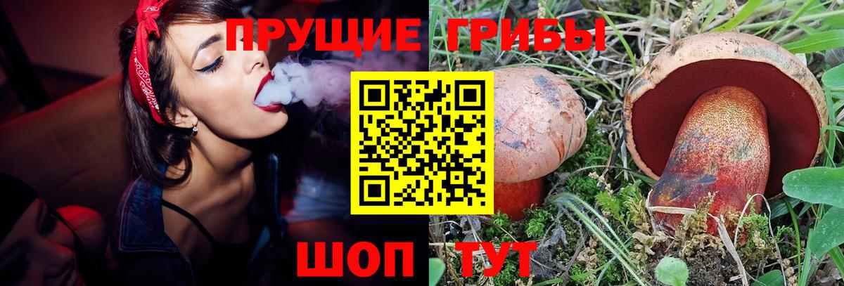 Галлюциногенные грибы прущие грибы Киржач