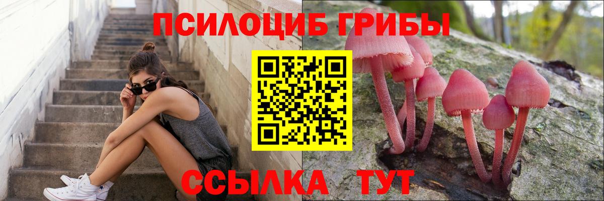Псилоцибиновые грибы мицелий Киржач